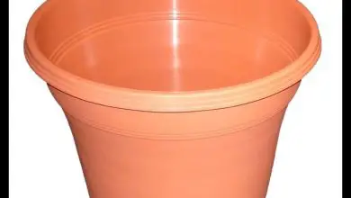 Photo of Vasos de plástico