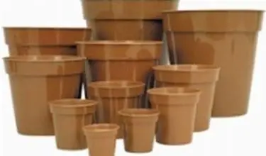 Photo of vasos online