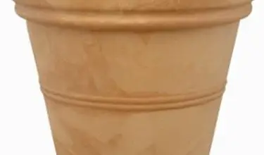 Photo of vasos roma