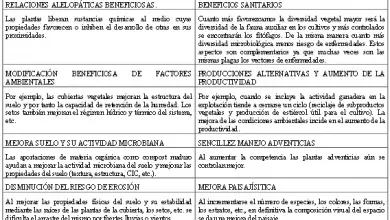 Photo of Cultivando técnicas: Biodiversidade