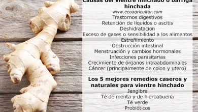 Photo of Barriga inchada 5 principais Remédios Naturais para inchada barriga, SUAS causas e sintomas