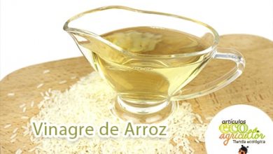 Photo of vinagre de arroz: como ELE difere vinagres Outros, propriedades e like-lo em Receitas usando CULINÁRIA