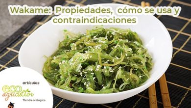 Photo of Wakame: propriedades, tais como a utilização de e-lo in Receitas anti-Indicações Desta alga