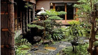 Photo of 9 plantas japonesas para suas casas e jardim