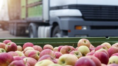 Photo of Do campo ao seu supermercado: transporte de frutas e legumes