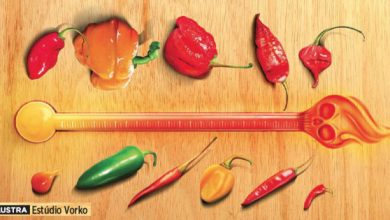 Photo of ️ Scoville Scale: as pimentas mais picantes do mundo