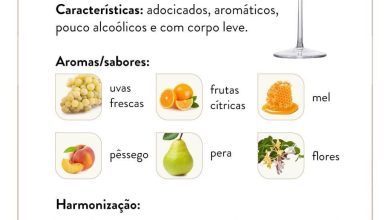 Photo of Guia de cultivo e características da uva moscatel