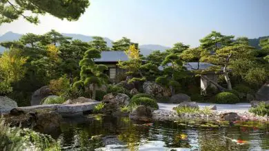 Photo of Jardim japonês: beleza única e estilo clássico