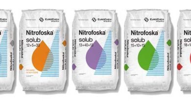 Photo of Nitrofoska: razones para utilizar el fertilizante más conocido