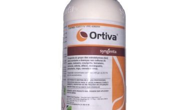 Photo of Ortiva: uso deste fungicida para controle de doenças