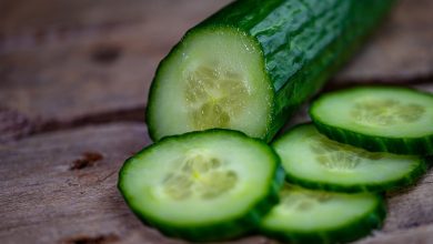 Photo of Pepino holandês: o mais cultivado na Espanha