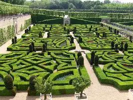 Photo of Quais são as características de um jardim francês?