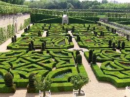 Photo of Quais são as características de um jardim francês?