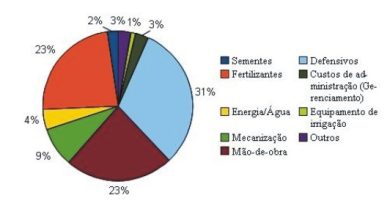 Photo of Rendimento por hectare de culturas
