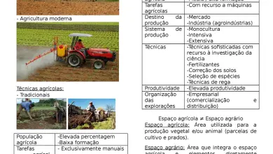 Photo of Valorização agrária e rústica de parcelas